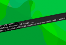 Screenshot of a Terminal window with the error "Updating statuses of users ... Error: /usr/sbin/lvectl destroy-and-recreate-all failed" on a lava lamp-esque green background